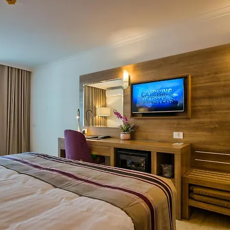 Hotel Saturn 호텔